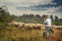 Ich bin der gute Hirte, der gute Hirte lässt sein leben für die Schafe. (Johannes 10,11)