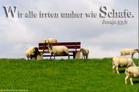 Wir alle irrten umher wie Schafe (Jesaja 53,6)