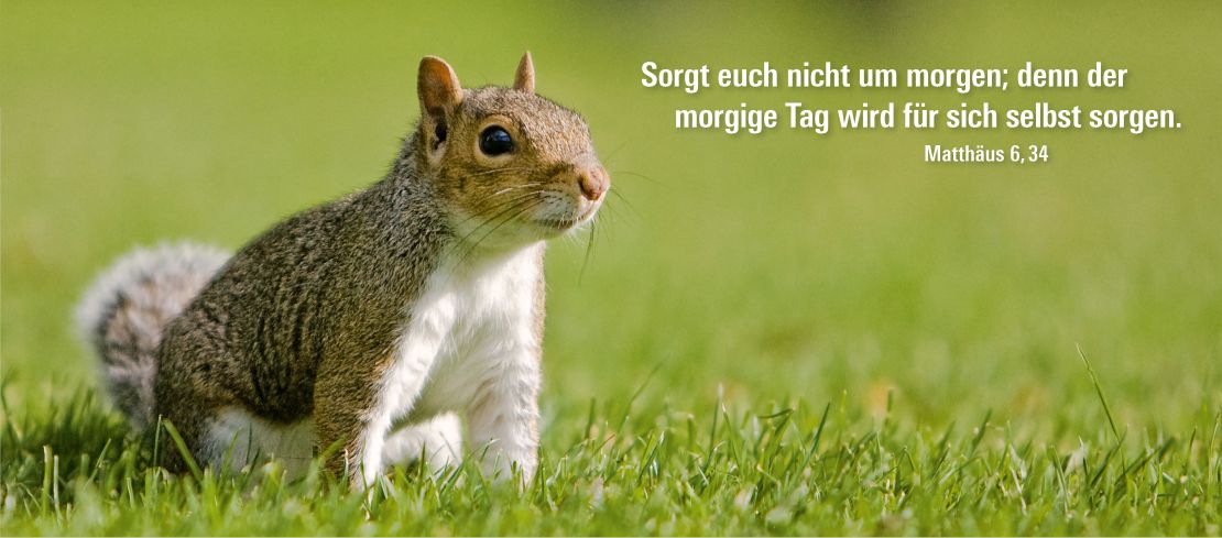 Get Am morgigen tag Desktop Wallpaper Free