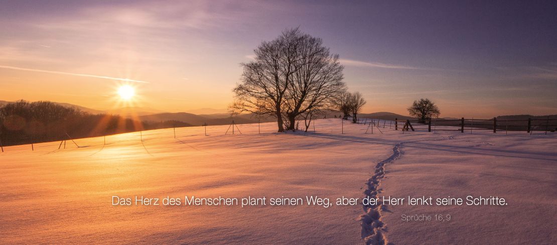 Spuren im Schnee, Hochrotherd, Österreich