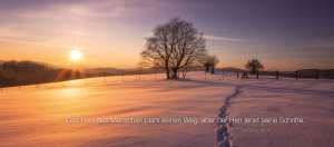 Spuren im Schnee, Hochrotherd, Österreich