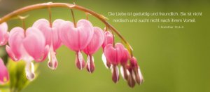 Download Traenendes herz sprueche Desktop Wallpaper Free